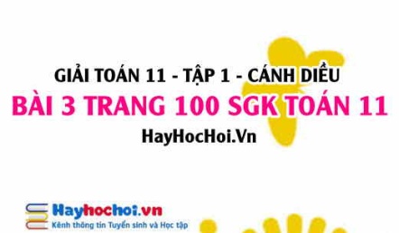 Giải bài 3 trang 100 Toán 11 tập 1 SGK Cánh Diều